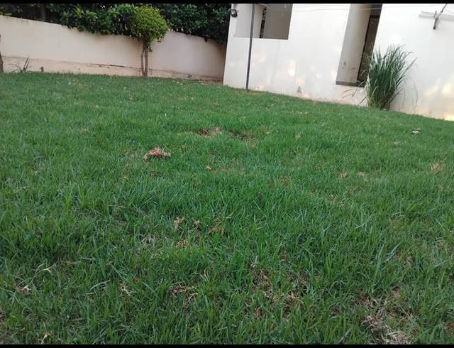 3 BEDROOM PROPERTY TO RENT IN FOURWAYS